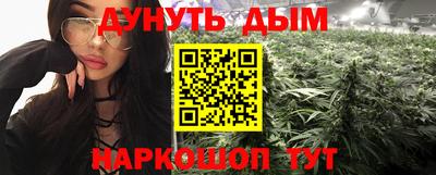 сатива Апшеронск