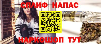сатива Апшеронск