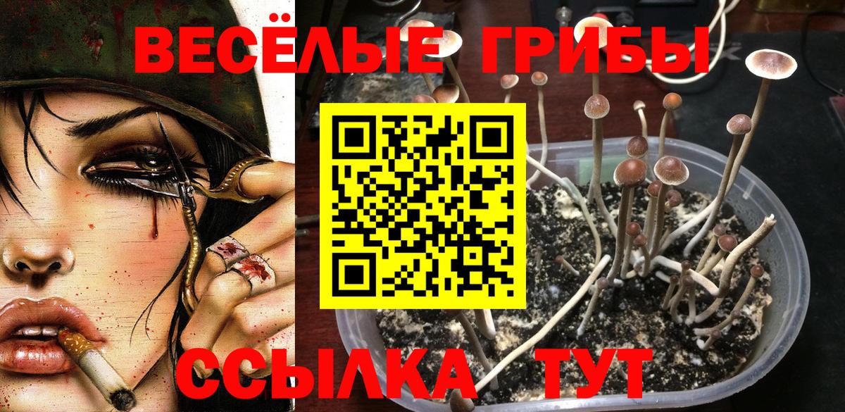 Мефедрон Ачхой-Мартан