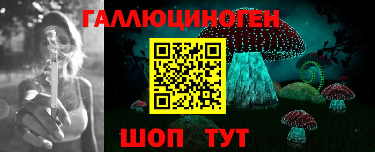 Ачхой-Мартан  Галлюциногенные грибы прущие грибы  где продают   Галлюциногенные грибы Cubensis  Вход с VPN 